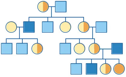 The pedigree of PostgreSQL
